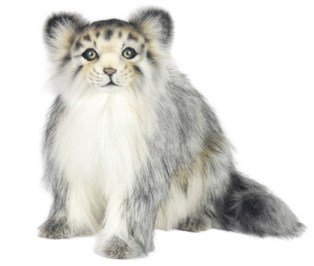 Hansa Pallas Cat