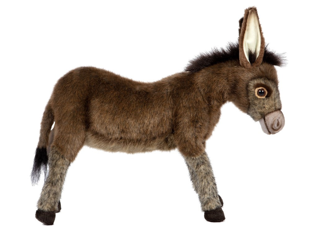 Hansa Donkey