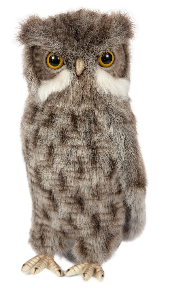 Hansa Screech Owl