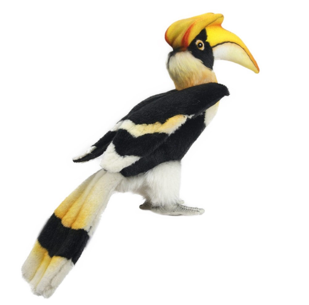 Hansa Great Hornbill