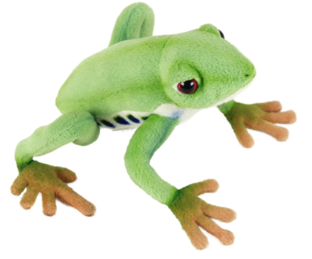 Hansa Tree Frog