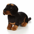 Living Nature Dachshund
